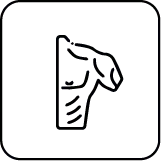 SH-G8913