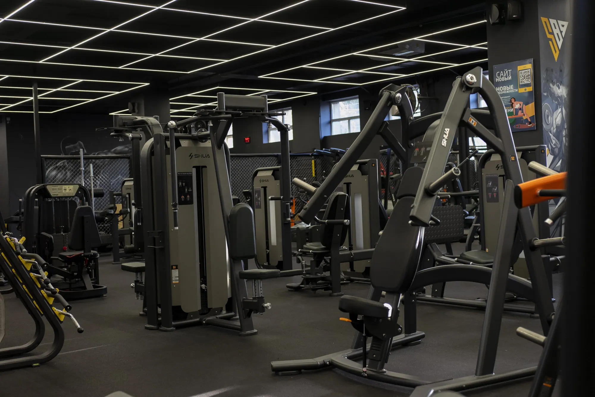 Market Comparison of Iso-Lateral Chest Press Machines